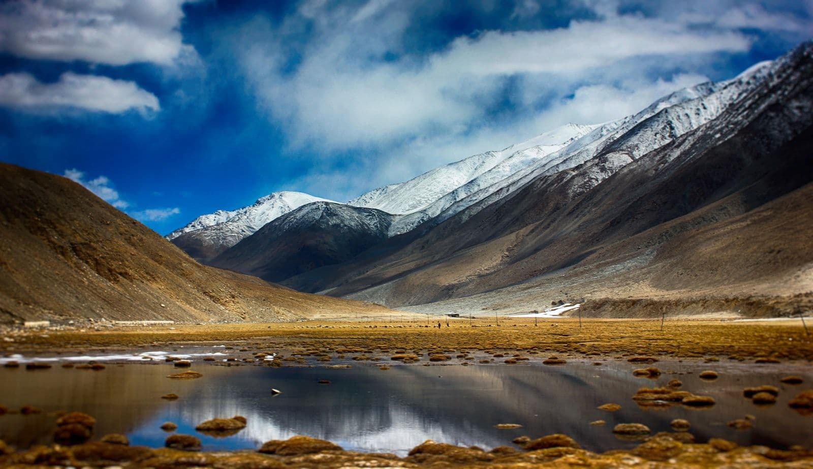 7-Day Leh–Nubra–Pangong Classic Circuit — Leh → Khardung La → Nubra → Pangong → Leh